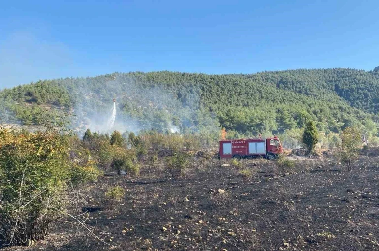 Bilecik’te çıkan tarla yangını ormana sıçramadan söndürüldü