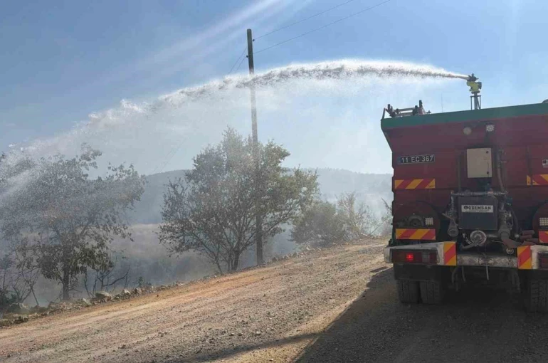 Bilecik’te devrilen elektrik direği yangına neden oldu