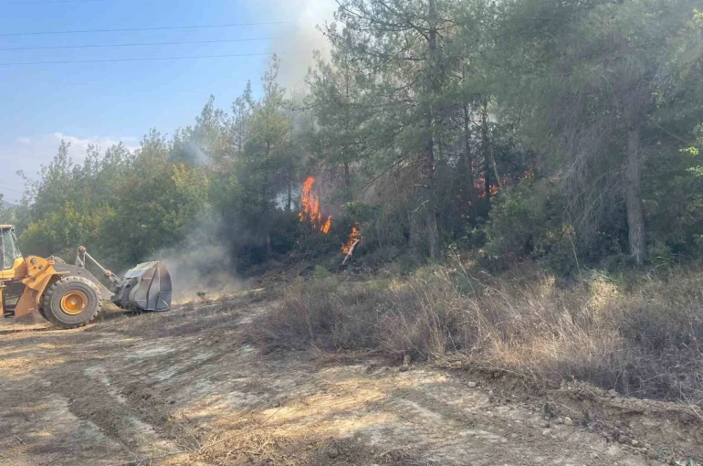 Bilecik’te orman yangını kısmen kontrol altına alındı
