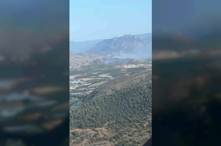 Bilecik’te orman yangını kontrol altına alındı 