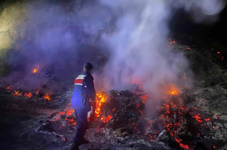 Bilecik’te otluk alanda çıkan yangın korkuttu