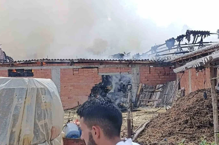 Bilecik’te samanlık alanda yangın çıktı 