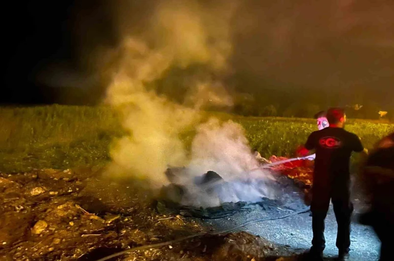 Bilecik’te yol kenarındaki çöp birikintisi alev aldı