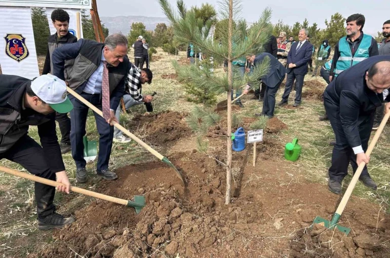 Bingöl’de 25 bin fidan toprakla buluştu 