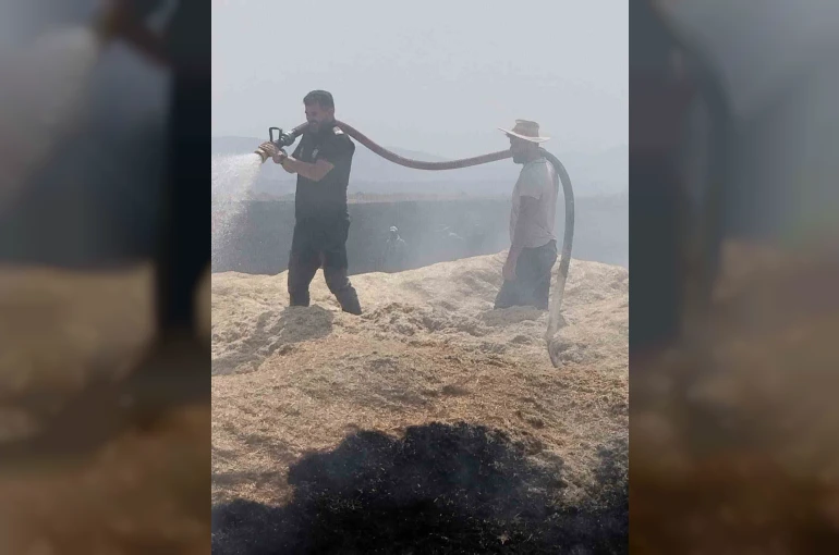 Bingöl’de arazi yangını: 2 bin dönüm arazi zarar gördü
