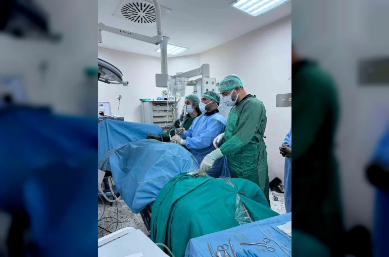 Bingöl’de PNL yöntemiyle böbrek taşı tedavisinde sevkler azaldı 