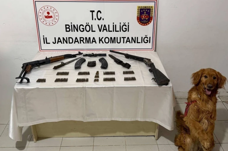 Bingöl’de silah ve mühimmat ele geçirildi