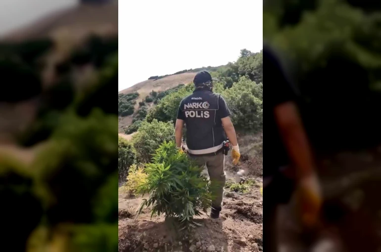 Bingöl’de uyuşturucu operasyonu: 3 şüpheli tutuklandı