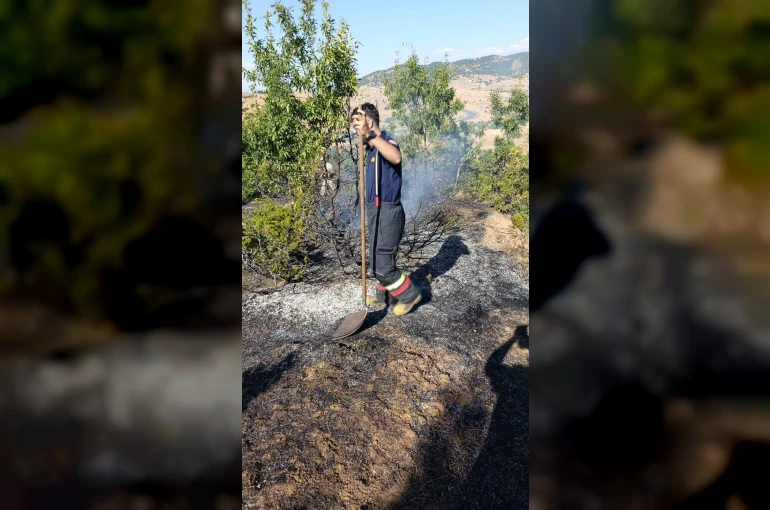 Bingöl’de yol kenarında çıkan yangın söndürüldü