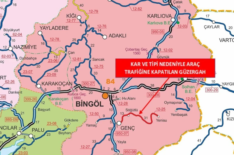 Bingöl’ün ilçesinde bir yol trafiğe kapatıldı 