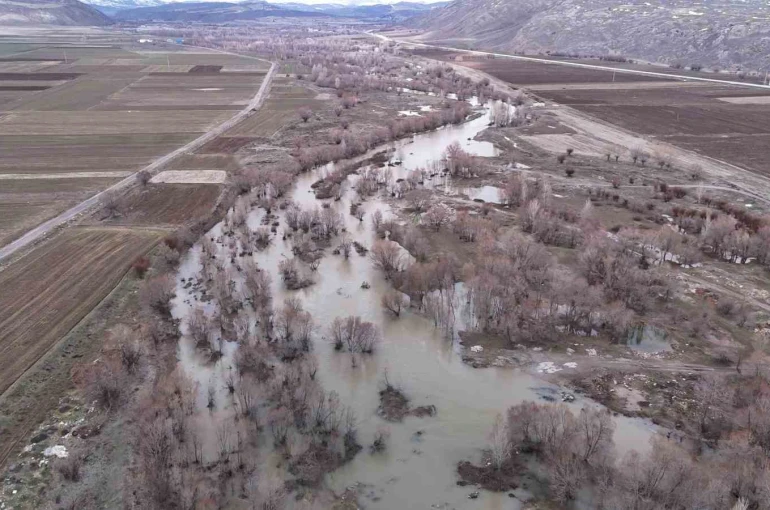 Bir dönem tamamen kuruyan nehir, yeniden coştu 
