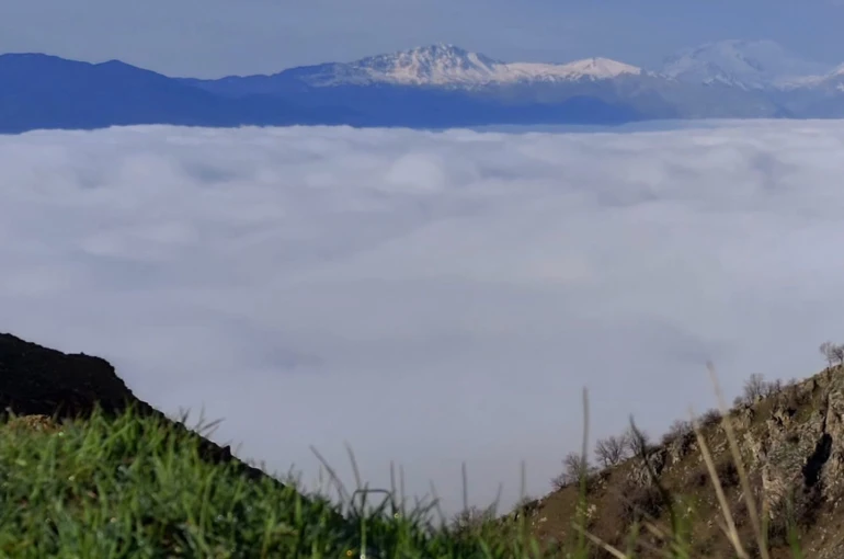 Bir mahalle sis denizinde kayboldu 