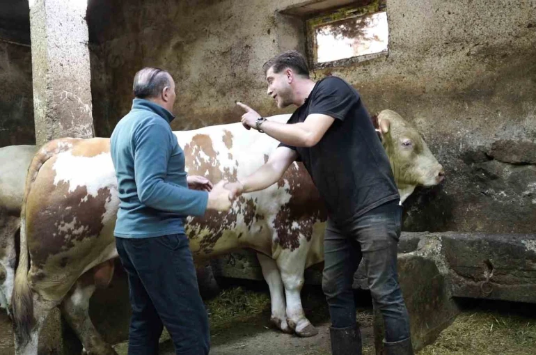 Bir ton 250 kilogramlık dev tosun 550 bin TL’ye satıldı