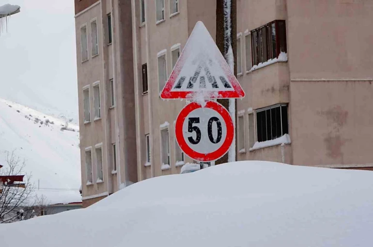 Bitlis kara gömüldü: 294 köy yolu ulaşıma kapandı 