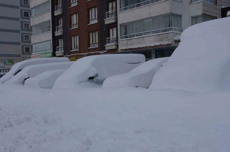 Bitlis mart ayında kara gömüldü 