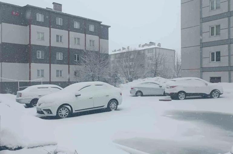 Bitlis nisan ayında yeniden beyaza büründü 