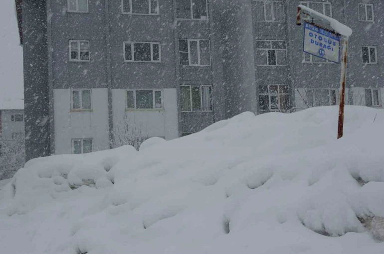 Bitlis’te 304 köy yolu kar nedeniyle ulaşıma kapandı 
