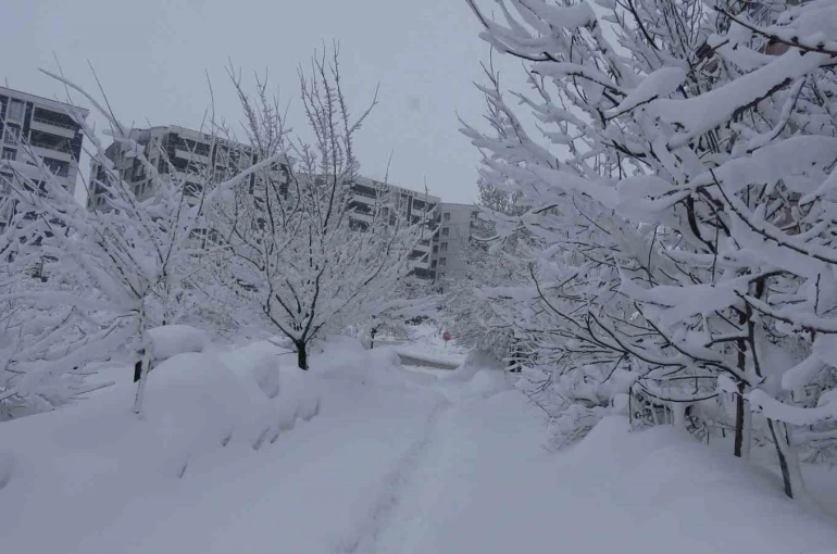 Bitlis’te kar esareti, 229 köy yolu ulaşıma kapalı 