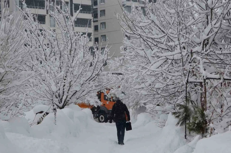 Bitlis’te kar yağışı yeniden etkili oldu