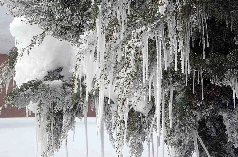 Bitlis’te karla mücadeleye rekor yakıt harcaması 