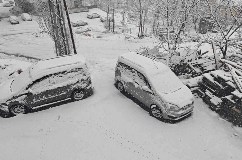 Bitlis’te nisanda kara kış: 84 köy yolu ulaşıma kapandı 
