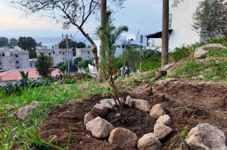 Bodrum Belediyesi çocukları doğayla buluşturdu 