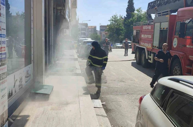 Bodrum katta çıkan yangında 4 kedi son anda kurtarıldı 