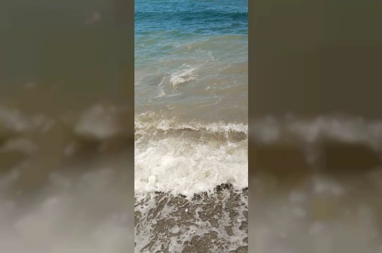 Bodrum’da deniz kirliliği: "Başsavcılık soruşturma başlattı" 