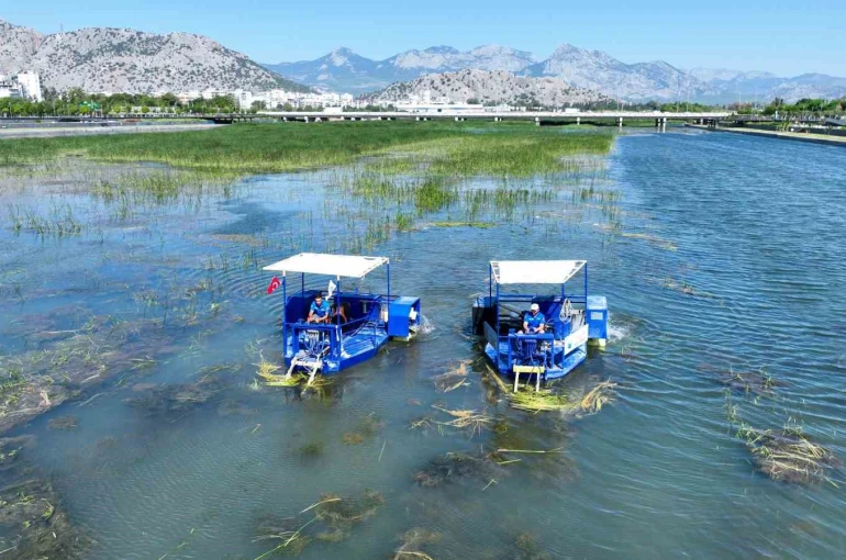 Boğaçayı sucul otlarla kaplandı, "Caretta" ve "Mavi Yengeç" göreve başladı