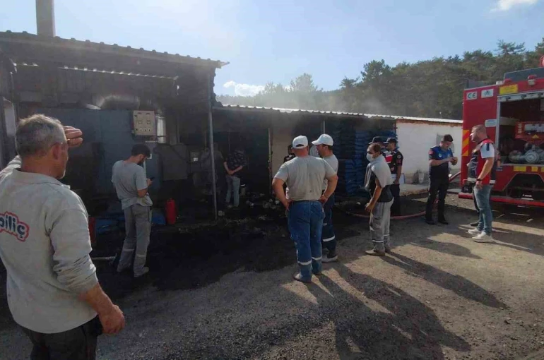 Bolu’da Erpiliç kümeslerinde yükselen dumanlar itfaiyeyi alarma geçirdi
