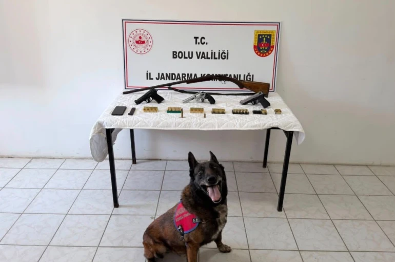 Bolu’da evinde silah ve mühimmat bulunan şüpheli tutuklandı