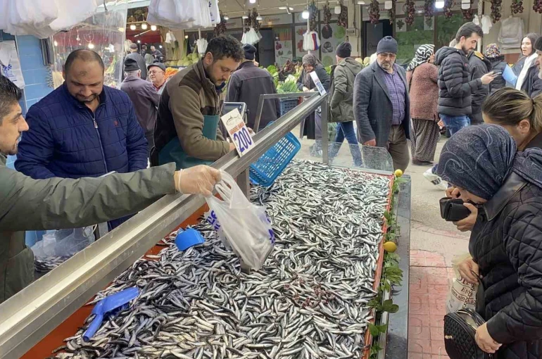 Bolu’da hamsi bolluğu sürüyor: Kilosu 200 liradan rağbet gördü 