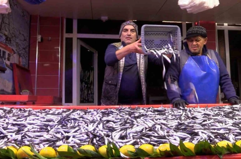 Bolu’da hamsinin kilosu 150 liraya düştü