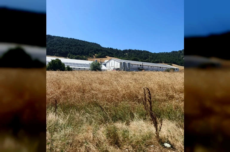 Bolu’da hindi çiftliğinde korkutan yangın: Facianın eşiğinden dönüldü