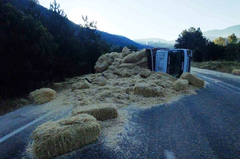 Bolu’da iki kamyon kafa kafaya çarpıştı: Samanlar yola saçıldı, 2 yaralı 