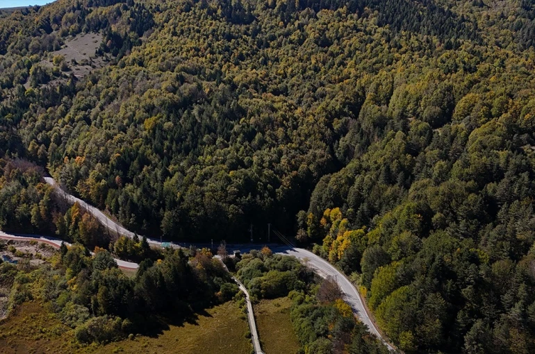 Bolu’da ormanlara giriş 30 Eylül’e kadar yasaklandı 