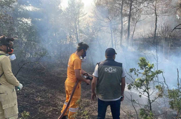 Bolu’da ormanlık alanda çıkan yangın kontrol altına alındı 