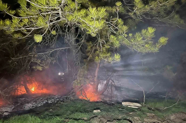 Bolu’da ormanlık alanda yangın çıktı 