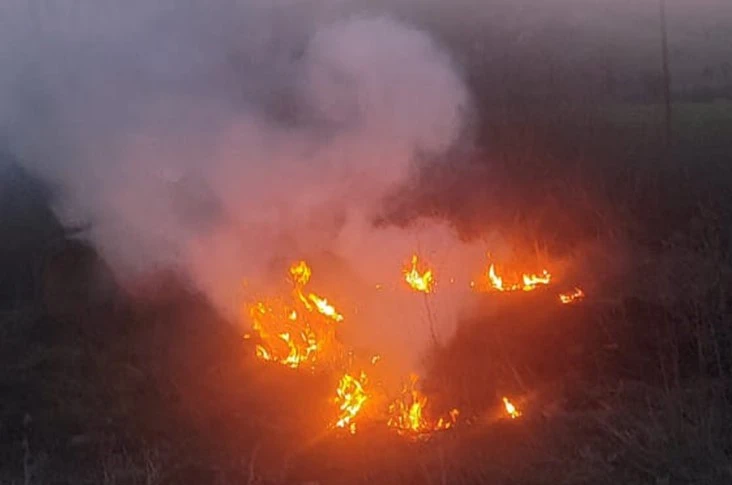 Bolu’da otluk alanda çıkan yangın büyümeden söndürüldü 