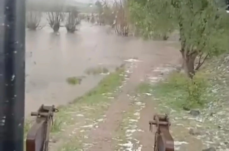 Bolu’da sağanak yağış dereleri taşırdı: Bahçe ve ahırlar sular altında kaldı 