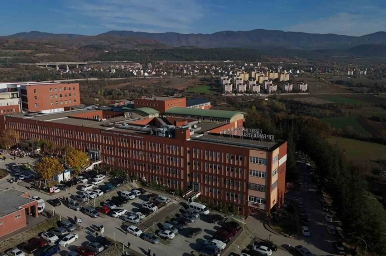 Bolu’da topladığı mantarları yiyen bir kişi zehirlendi 