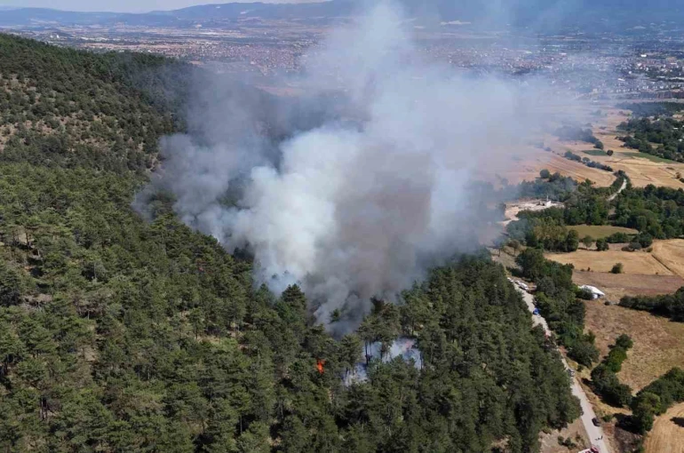 Bolu’daki orman yangını kontrol altına alındı 