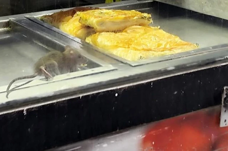 Börek tezgahlarında fare cirit attı