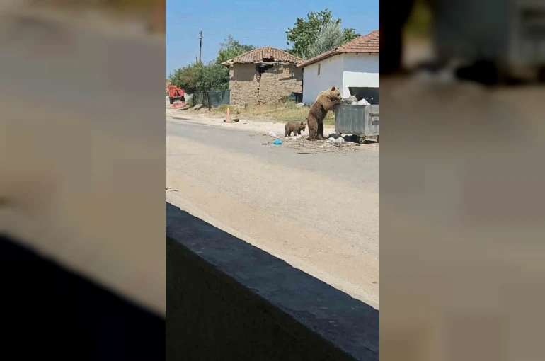 Bozayı Meriç’in köylerini geziyor