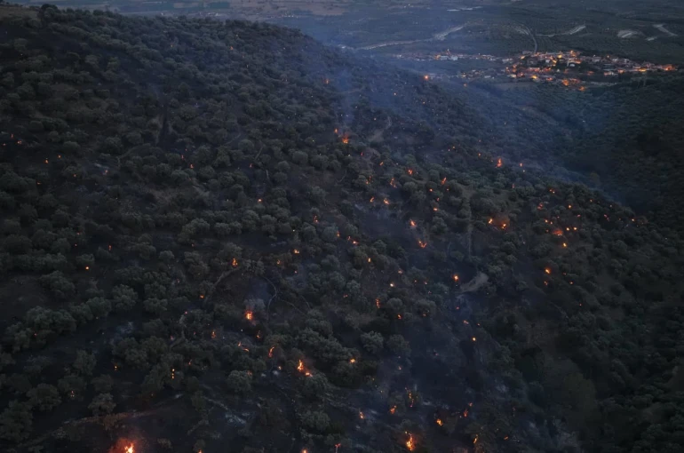 Bozdoğan yangını büyük ölçüde kontrol altına alındı 