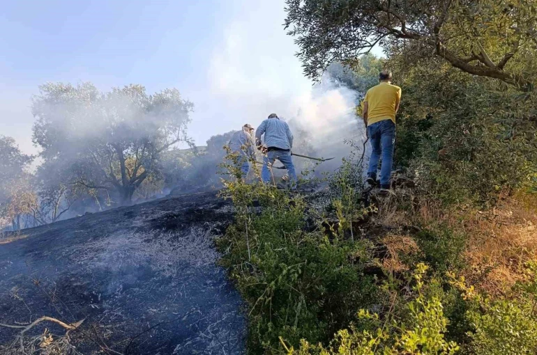 Bozdoğan’da arazi yangını 