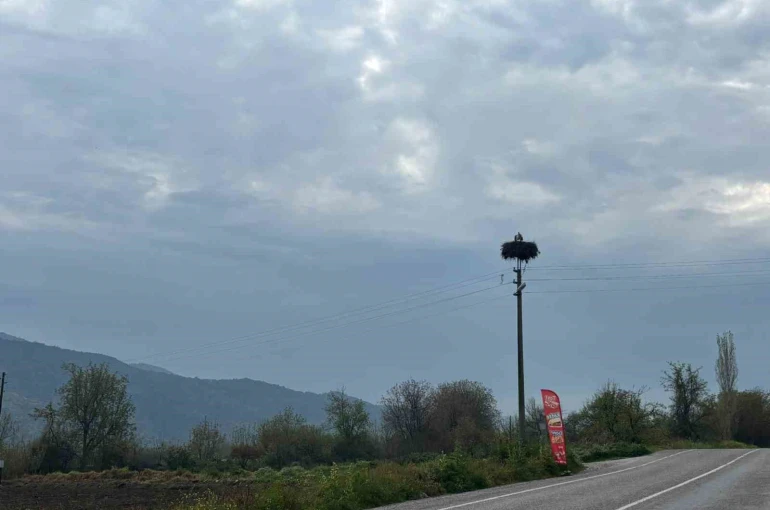 Bozdoğan’da baharın müjdecisi leylekler yuvalarına döndü