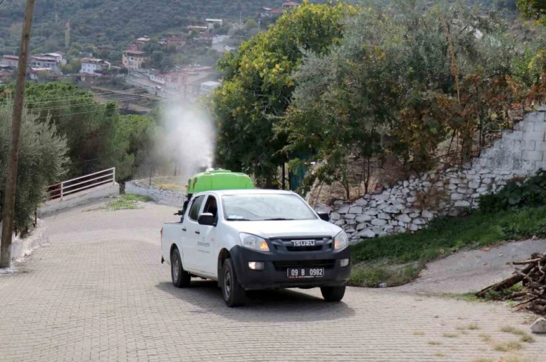 Bozdoğan’da karasinekle mücadele 