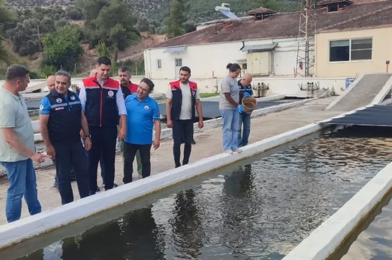 Bozdoğan’da su ürünleri üretimi 3 bin 696 tona ulaştı