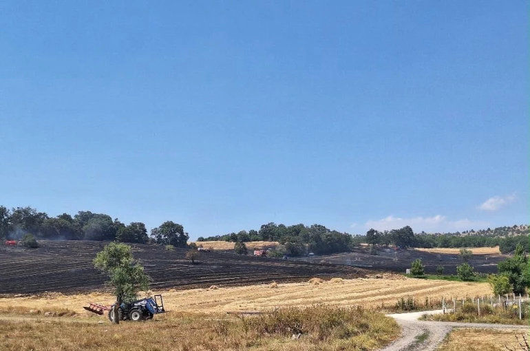 Bozüyük’teki yangında 80 dönüm tarım arazisi zarar gördü 